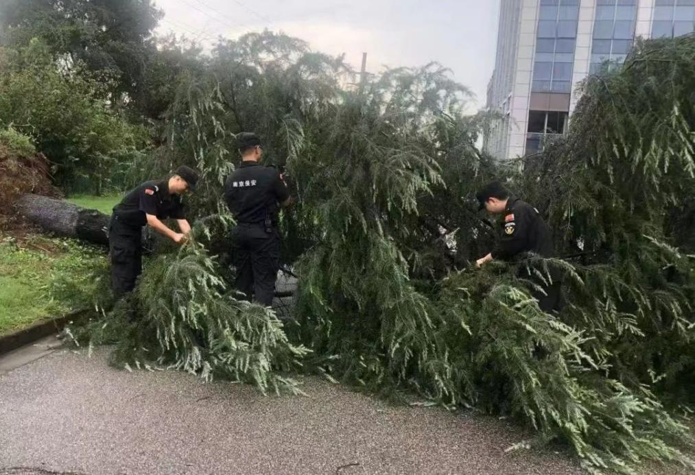 C:/Users/BA/Desktop/風(fēng)雨過后南京保安迅速行動(dòng)，恢復(fù)安“寧”面貌/1.jpg1
